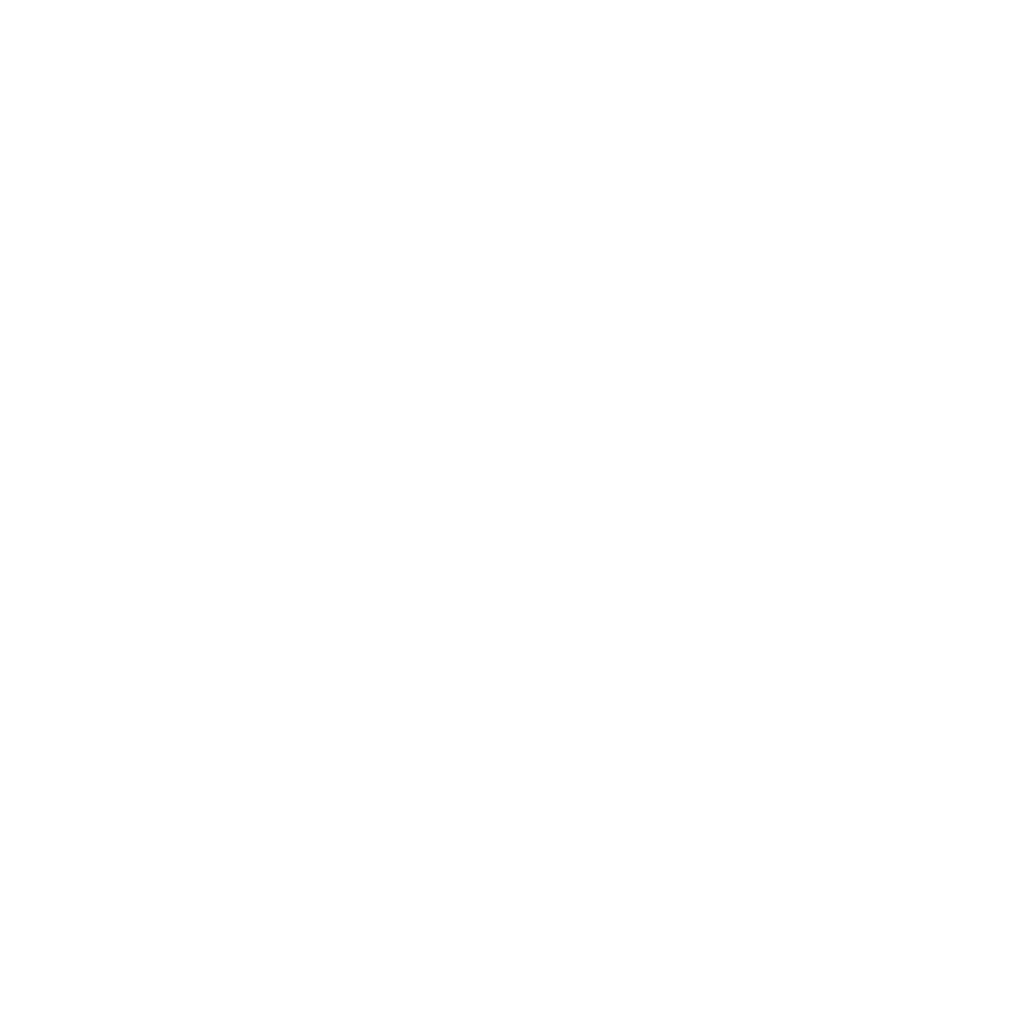 Primal Productions MGMT logo